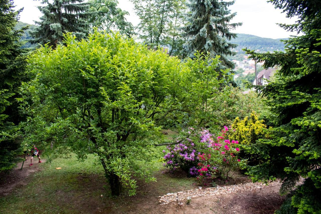 Napsugar Vendeghaz Buekkszentkereszt Chalet