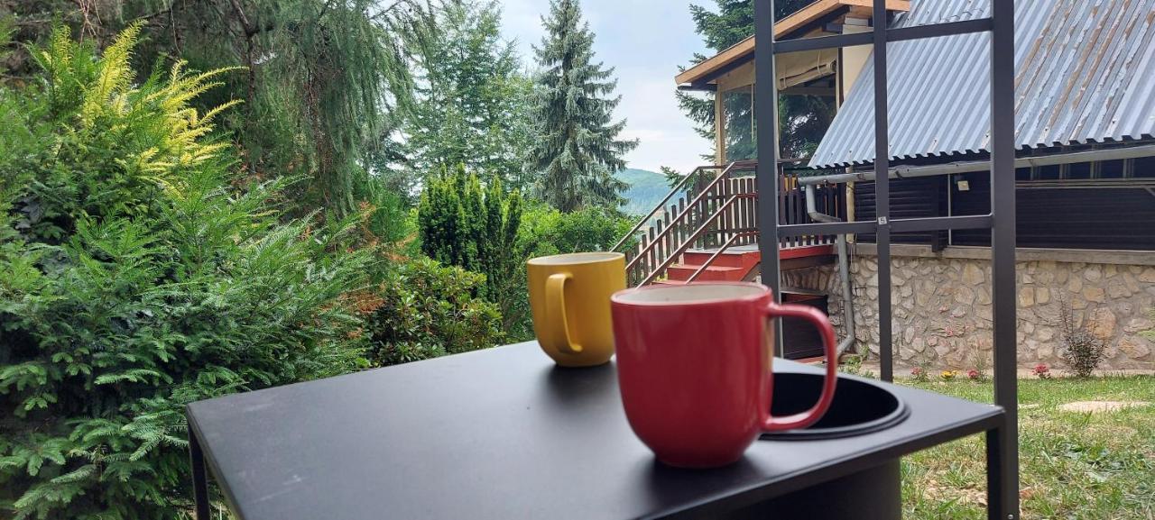 Napsugar Vendeghaz Buekkszentkereszt Chalet Bukkszentkereszt