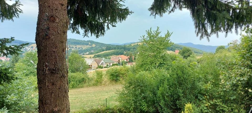 Napsugar Vendeghaz Buekkszentkereszt Chalet Bukkszentkereszt